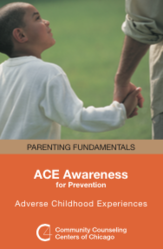 ACE Awareness brochure