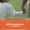 ACE Awareness brochure: Brochure used by Community Counseling Centers of Chicago in Parenting Fundamentals