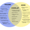 Trauma &amp; ADHD: The overlap, or co-occurrence, of trauma symptoms and ADHD.