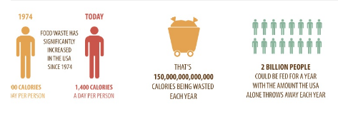 Environmental Impact of Wasted Food Yearly