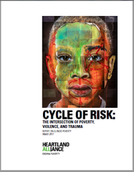 Cycle of Risk image