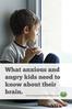 What Anxious and Angry Children Need to Know About Their Brains [ImperfectFamilies.com]