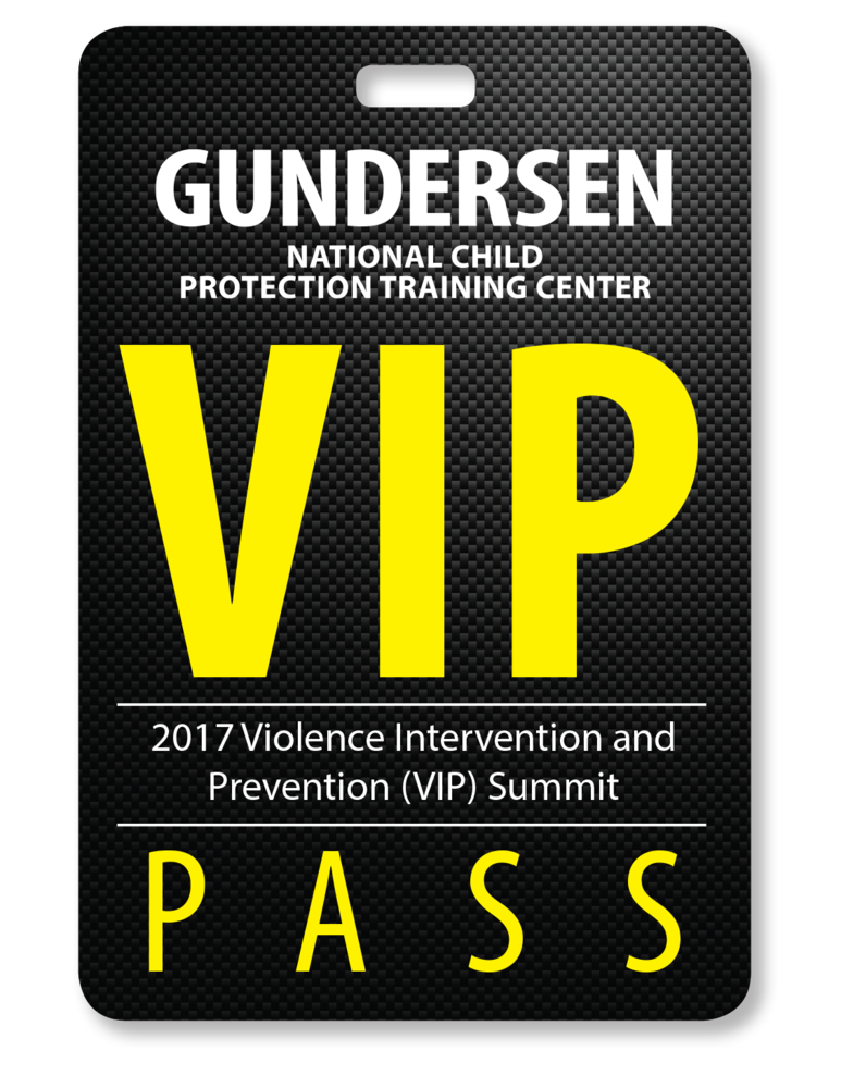 Violence Intervention and Prevention (VIP) Summit