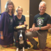 Paws for Peace - Therapy Dogs in our Justice System (free online webinar - The Peace Alliance)