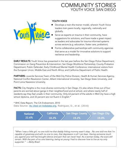 Youth Voice Community Profile - page one