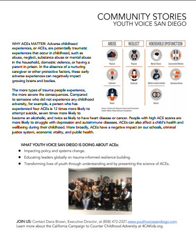 Youth Voice Community Profile - page two