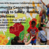 Community Connections:  Pathways to Safety, Healing, and Wellness (Chicago, Illinois)