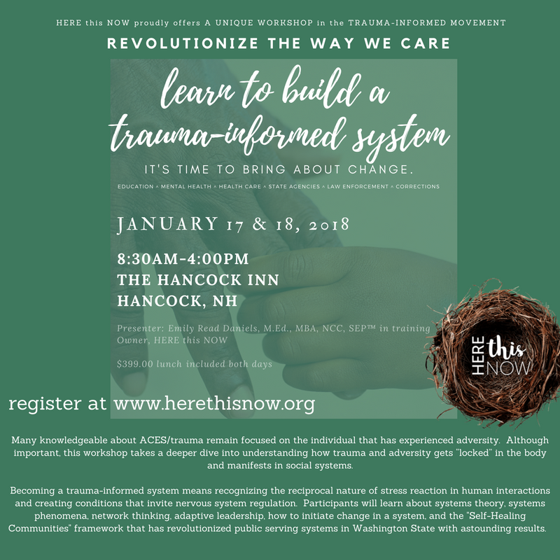 Learn to Build a Trauma-Informed System:  2-Day Intensive