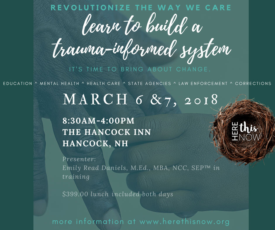 Learn to Build a Trauma-Informed System
