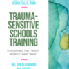 Ms. Jen's Level 1 Trauma-Sensitive Schools Training