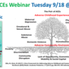 Building Community Resilience (BCR) collaborative: How to Use the 'Pair of ACEs' to Build Community Resilience (webinar)