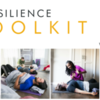 The Resilience Toolkit - Altadena, CA