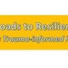 Roads to Resilience