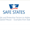Safe States - Evaluating Shared Risk and Protective Factors to Address ACEs, Suicide, and Opioid Misuse – Examples from States