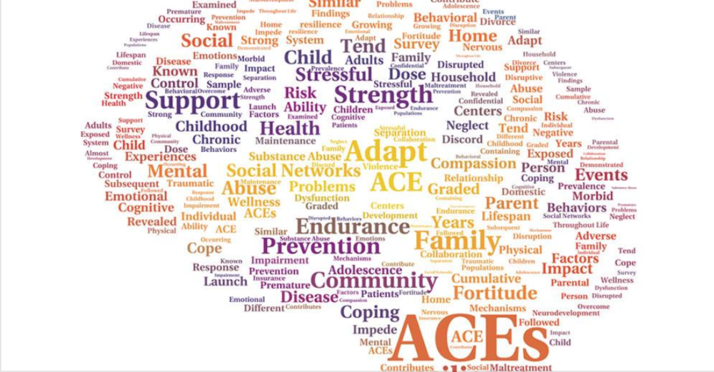 FACES of ACEs - Community Expo - Bloomington, Indiana