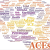 FACES of ACEs - Community Expo - Bloomington, Indiana