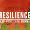 WYS is hosting a Free Resilience Workshop