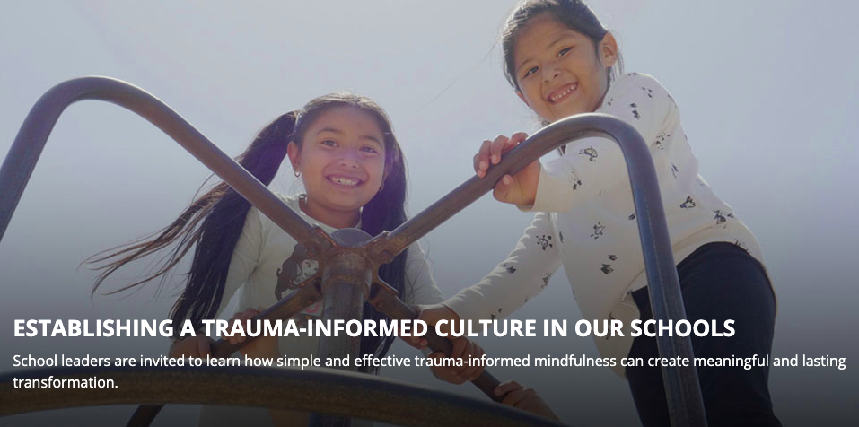 Establishing A Trauma-Informed Culture in our Schools