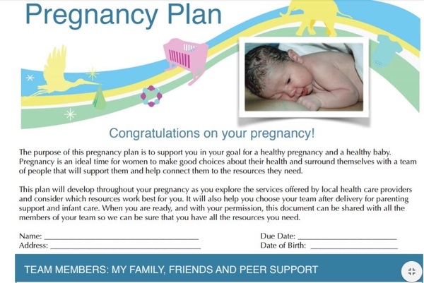 pregnancy plan