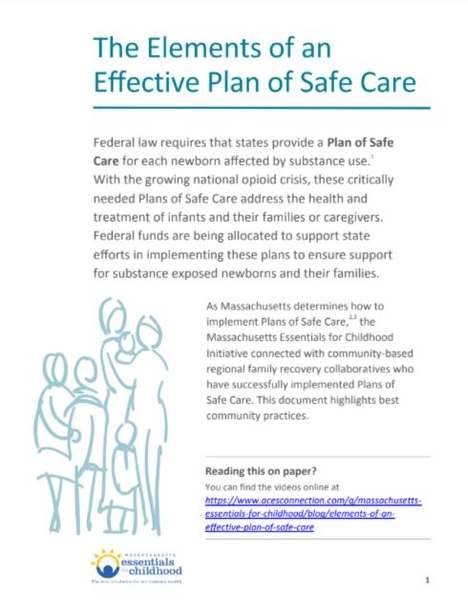 Plan of Safe Care