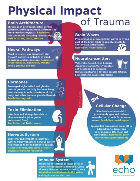Physical Impact of Trauma