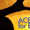 AC ACES Connection for Birth Workers
