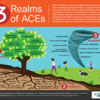 ACES w environment-climate effects 100219