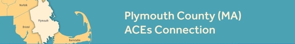 Plymouth Banner