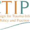 CTIPP-CAN hosts conference call with presentation by Laura Porter on social investment bonds to fund trauma-informed programs