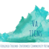VA TICNs logo_m