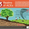 AC 3 Realms of ACEs May 2020