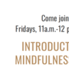 Introduction to Mindfulness Series: Our Storytelling Minds- Mindfulness of Thought (2 of 4)