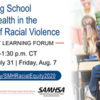 Flyer for Supporting School Mental Health in the Context of Racial Violence
