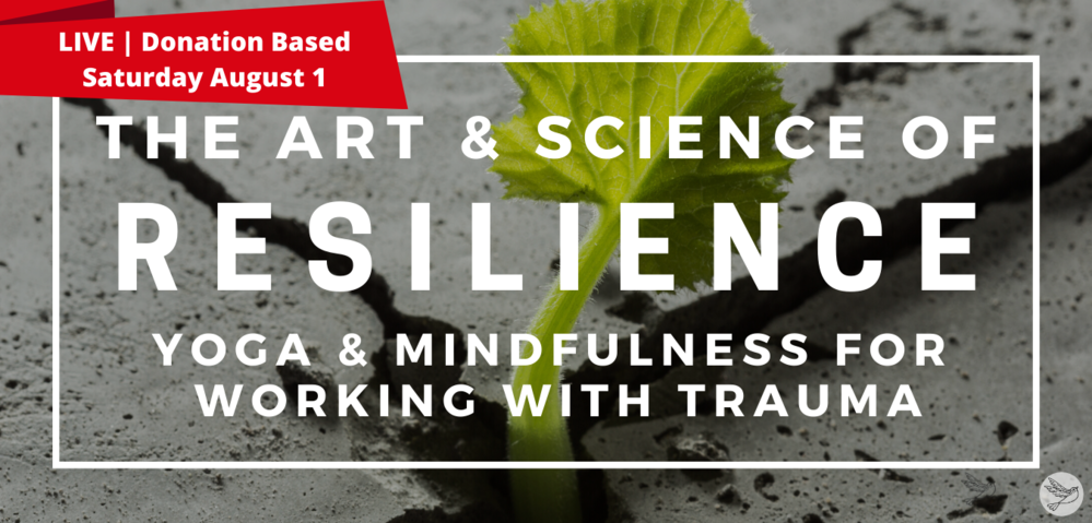 The Art &amp; Science of Resilience, Yoga &amp; Mindfulness for Working with Trauma **Donation based