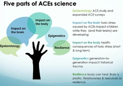 ACES science