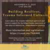 Building Resilient, Trauma Informed Cultures