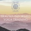 Online Trauma Informed Yoga Teacher Training- Yoga Vidya
