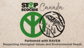 From the Grassroots to the Courts: How criminalizing ecocide could benefit frontline defenders? (Stop Ecocide Canada &amp; RAVEN Trust)