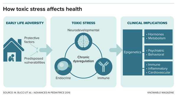 G-toxic-stress-and-health-alt