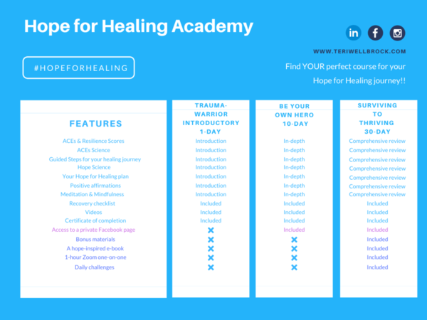 Hope for Healing Academy course comparison