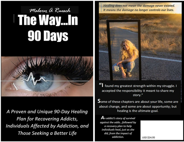 The Way in 90 Days copy 2