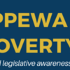 Chippewa Valley Child Poverty Coalition Banner