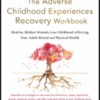 The Adverse Childhood Experiences Recovery Workbook (2021)