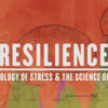 Miss Kendra Programs November Webinar - Special Screening of the Documentary: “Resilience: The Biology of Stress and the Science of Hope”