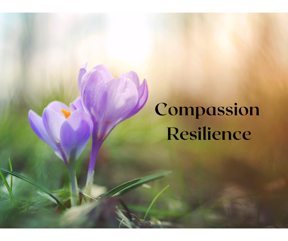 Compassion Resilience for Humans