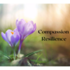 Compassion Resilience for Humans