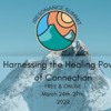 The Resonance Summit: Harnessing the Healing Power of Connection
