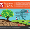 Handouts_3RealmsACEs_EN_630x420: PACEs Connection 3 Realms of ACEs