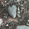 Walk Rest: Image: Light heart-shaped rock on dirt path.