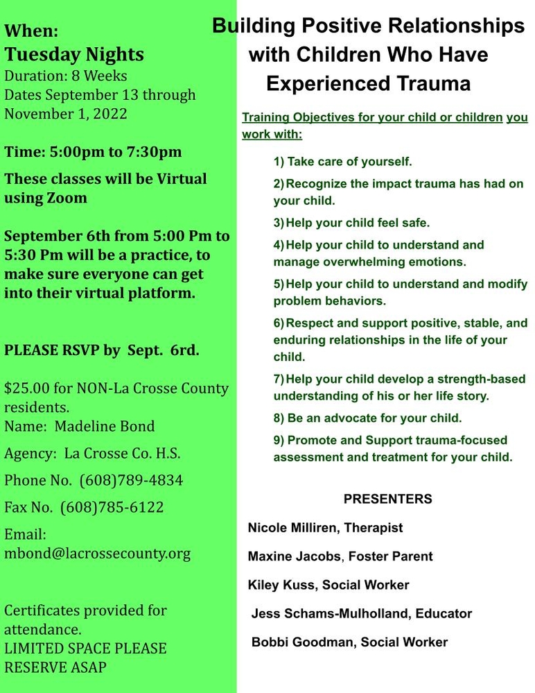 Free Interactive Webinar on Building Positive Relationships with Children who have Experience Trauma